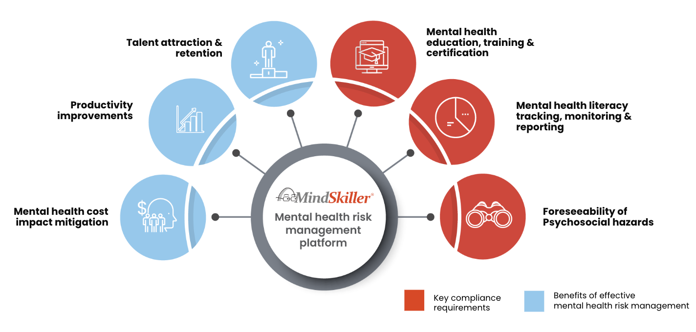 MindSkiller Risk Management for Organisations